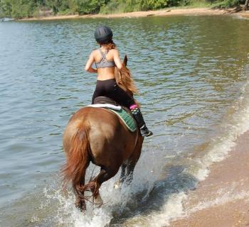 Grove Point Stables Photo