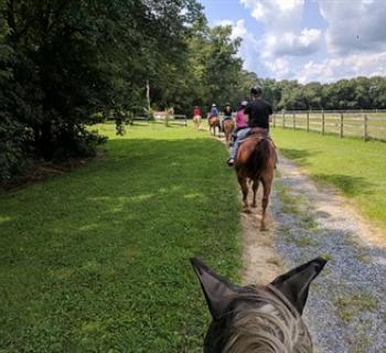 Holly Ridge Farm  Photo