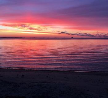 Beauty on the horizon Photo