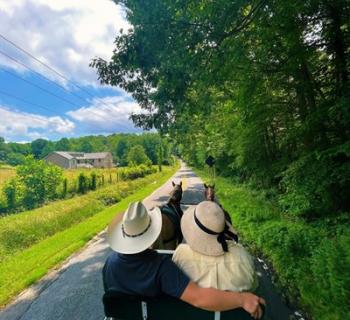 two horses pull a carriage on beautiful country roads Photo