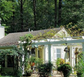 Situated in a magical garden Photo