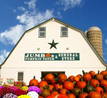 The General Store at Jumbo's Pumpkin Patch features over 3,000 square feet of fall shopping. Photo