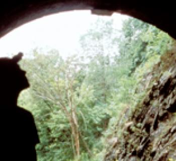 Paw Paw Tunnel Photo