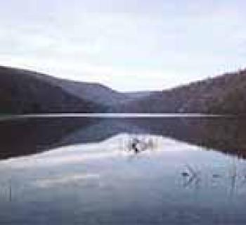 Big Run State Park Photo