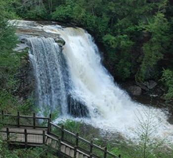 swallow falls Photo