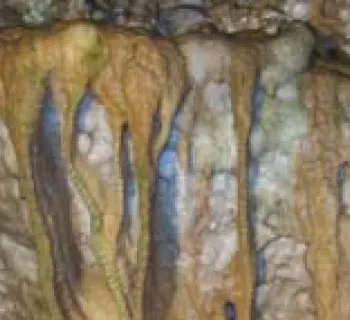 Stalagtites at Crystal Grottoes Caverns Photo