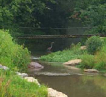 Albert Powell Fish Hatchery Photo