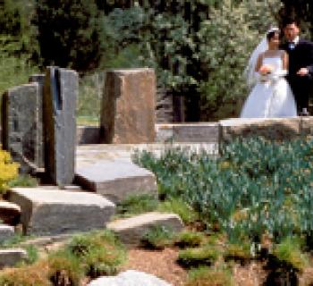 Brookside Gardens wedding Photo