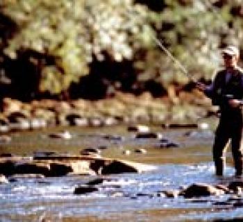 Fly fishing on Patuxent River Photo