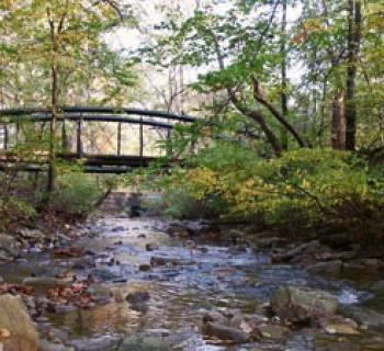 Campground trail at Cunningham Falls State Park Photo