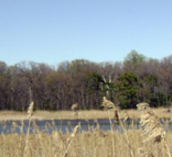 North Point State Park Photo