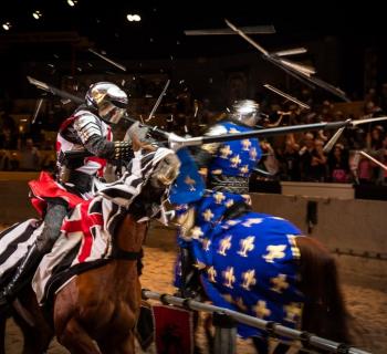 Medieval Times Dinner and Tournament knights battle Photo