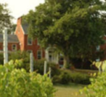 Mount Felix Vineyards & Winery Photo