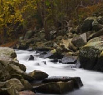 Stream at Rocks State Park Photo