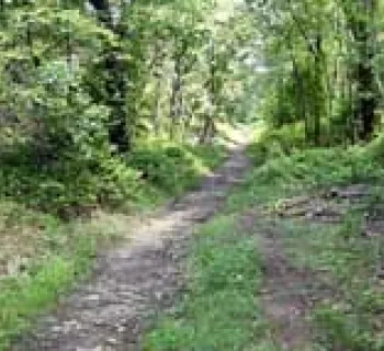 Soldiers Delight Natural Environnmental Area Photo