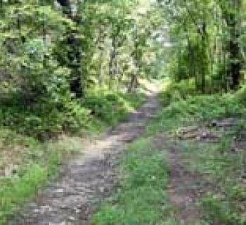 Soldiers Delight Natural Environnmental Area Photo