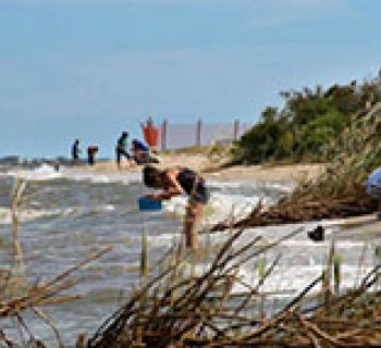 Beach at Flag Ponds Park Photo