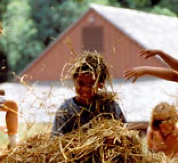 Children in playing in hay Photo