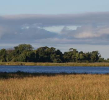 Eastern Neck National Wildlife Refuge Photo