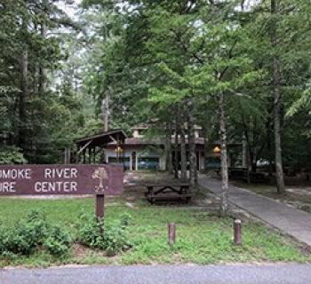 Pocomoke River State Forest Photo