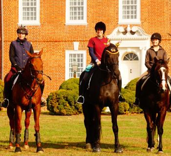 Mount Harmon Plantation-Horses Photo