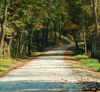 Fair Hill Natural Resource Management Area Photo