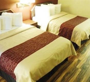 Red Roof Inn-Edgewood guest room Photo