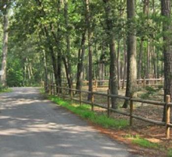 Holiday Park Campground Photo