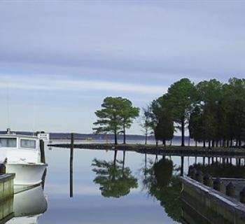 Madison Bay Campground, Marina & Restaurant Photo