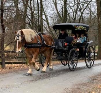 Fairwinds Farm and Stables-Carriage Ride Photo