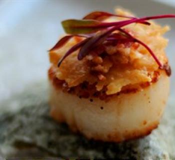 Scallop Photo