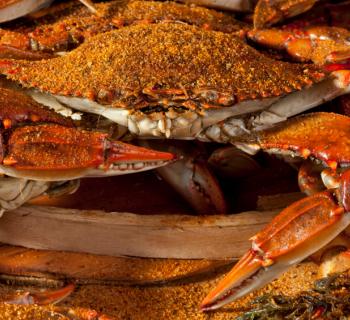 Steamed crabs Photo