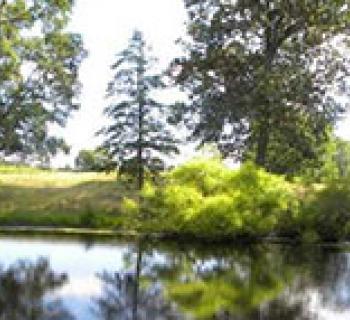 Pond at Breton Bay Golf Club Photo