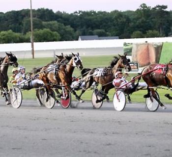 Ocean Downs-Horses Photo