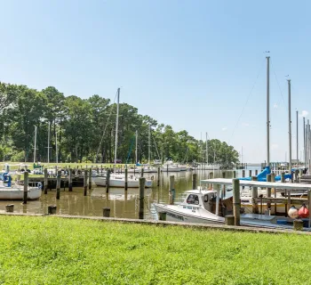 Cedar Hill Marina & Park Photo