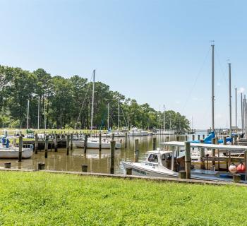 Cedar Hill Marina & Park Photo