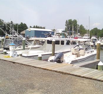 Ferry Point Marina Photo