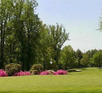 View of a green and fairway at Hillendale Country Club Photo