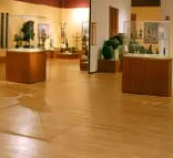 Museum interior Photo