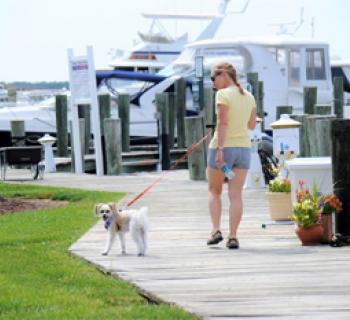 woman walking dog at Mears Point Marina Photo