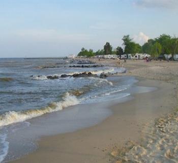 Scenic Byways-Roots and Tides Photo