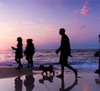 OC Visitors on the Beach at Sunset Photo