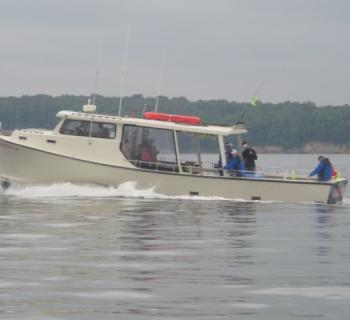 The Bay Hunter Charter Boat on the Bay. Photo