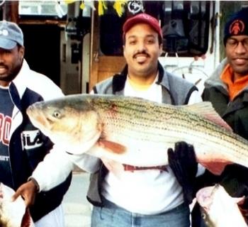 Big fish Photo