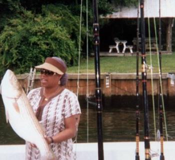 Catch of the day on Renegade Fishing Charter Photo