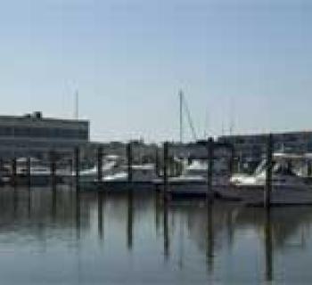 Boats at the Rod N' Reel Marina Photo