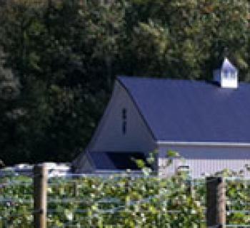 Field at Still Creek Vineyards Photo