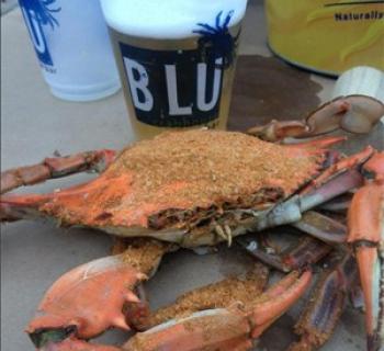 Crab and the Blu logo Photo