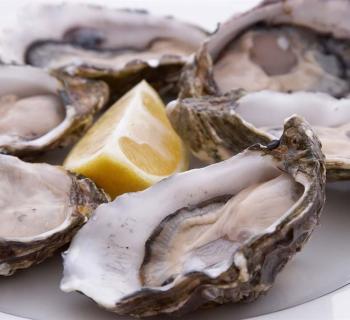 Oysters at the Wellwood Restaurant Photo
