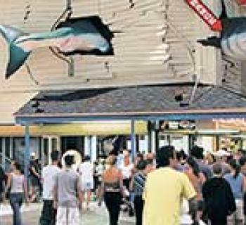 Exterior of Ripley's Believe It or Not! Ocean City Photo